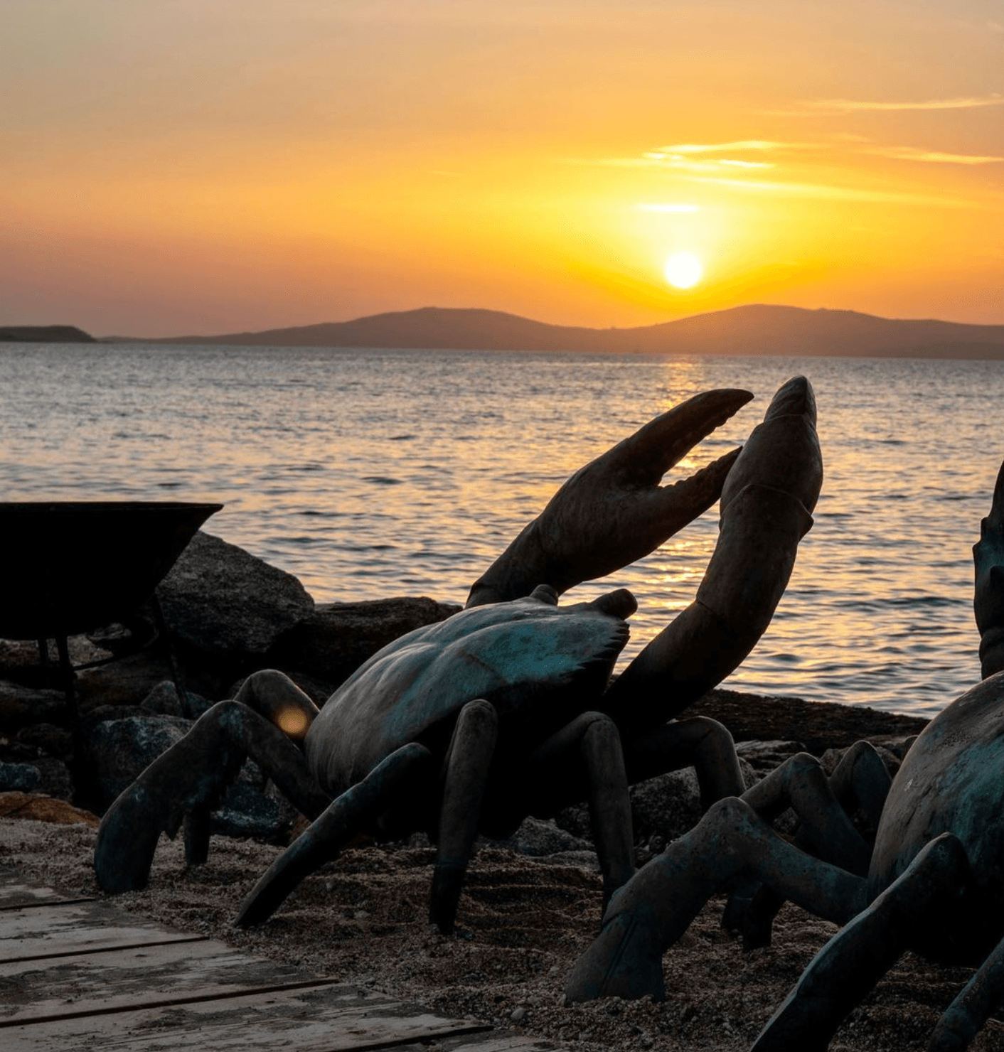 ©  instagram.com/hippiefishofficial