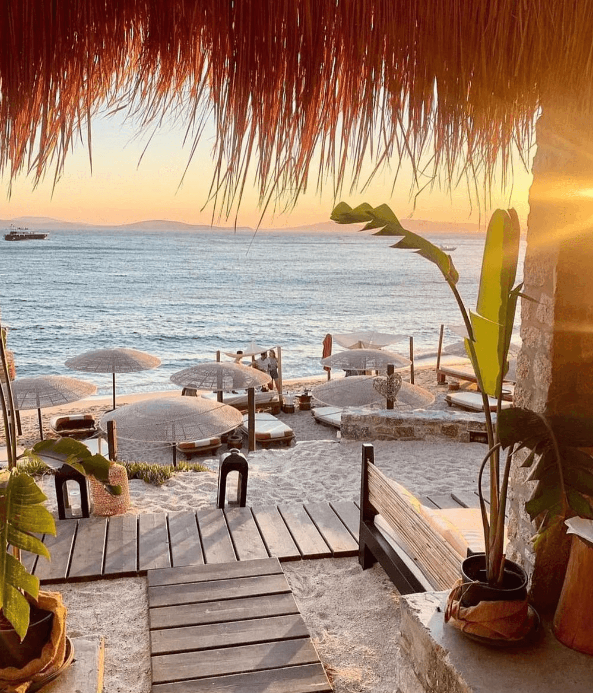 ©  instagram.com/hippiefishofficial