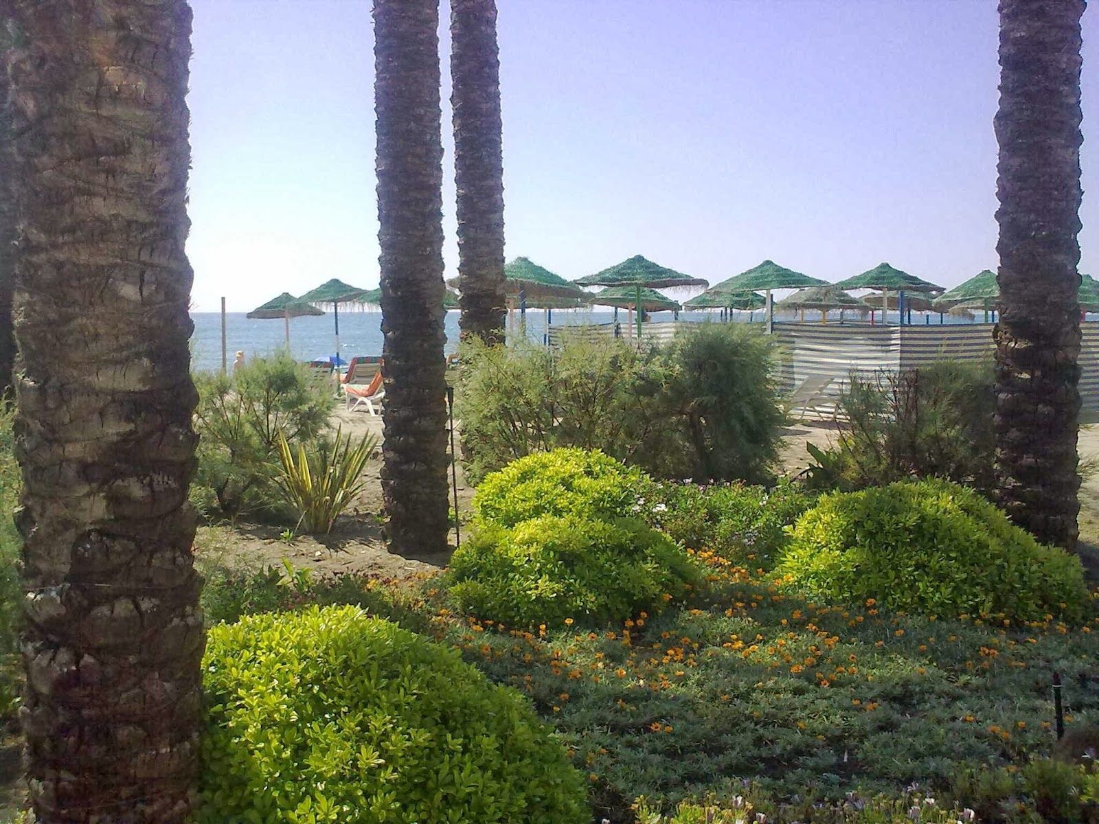 ©Carrasco Beach hamacas Benalmadena