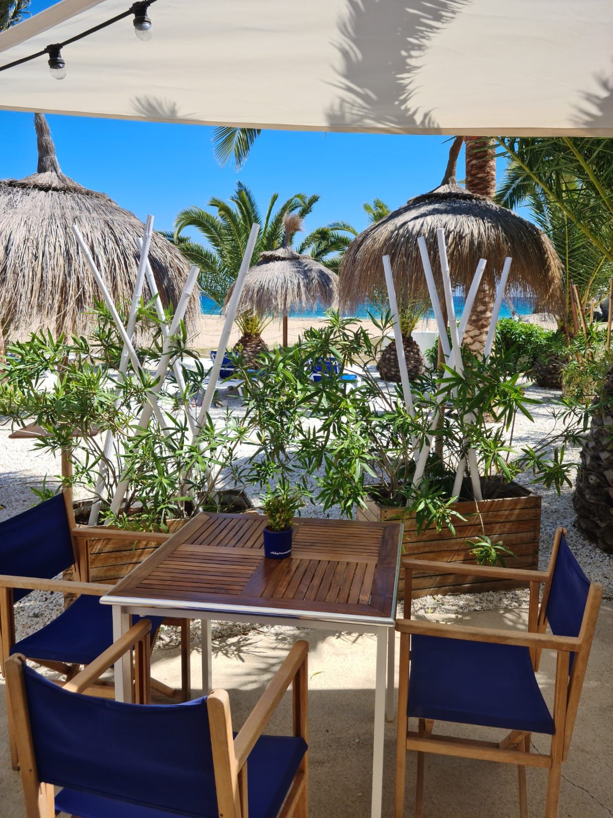 ©El Beach Agua Amarga