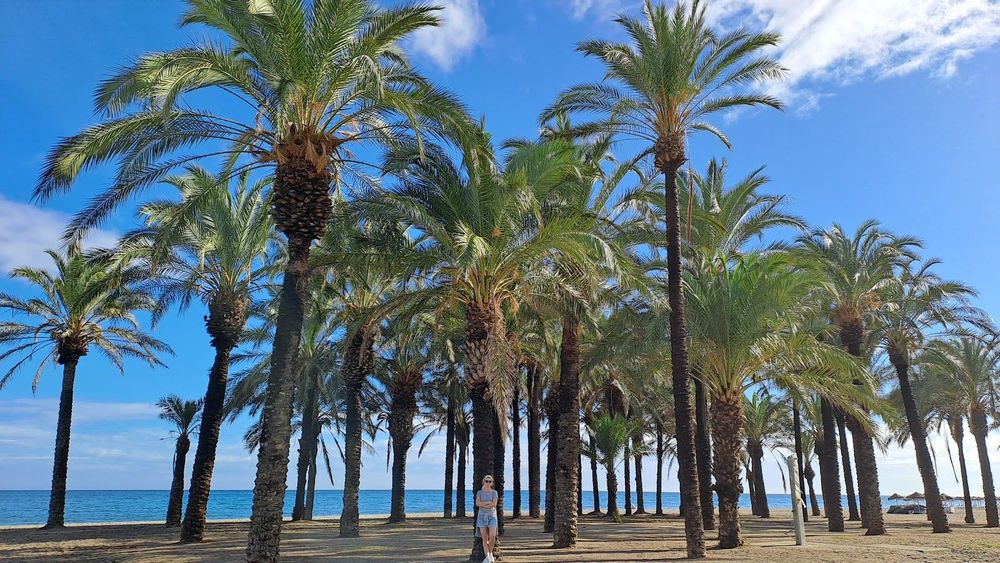 Playa de los Álamos