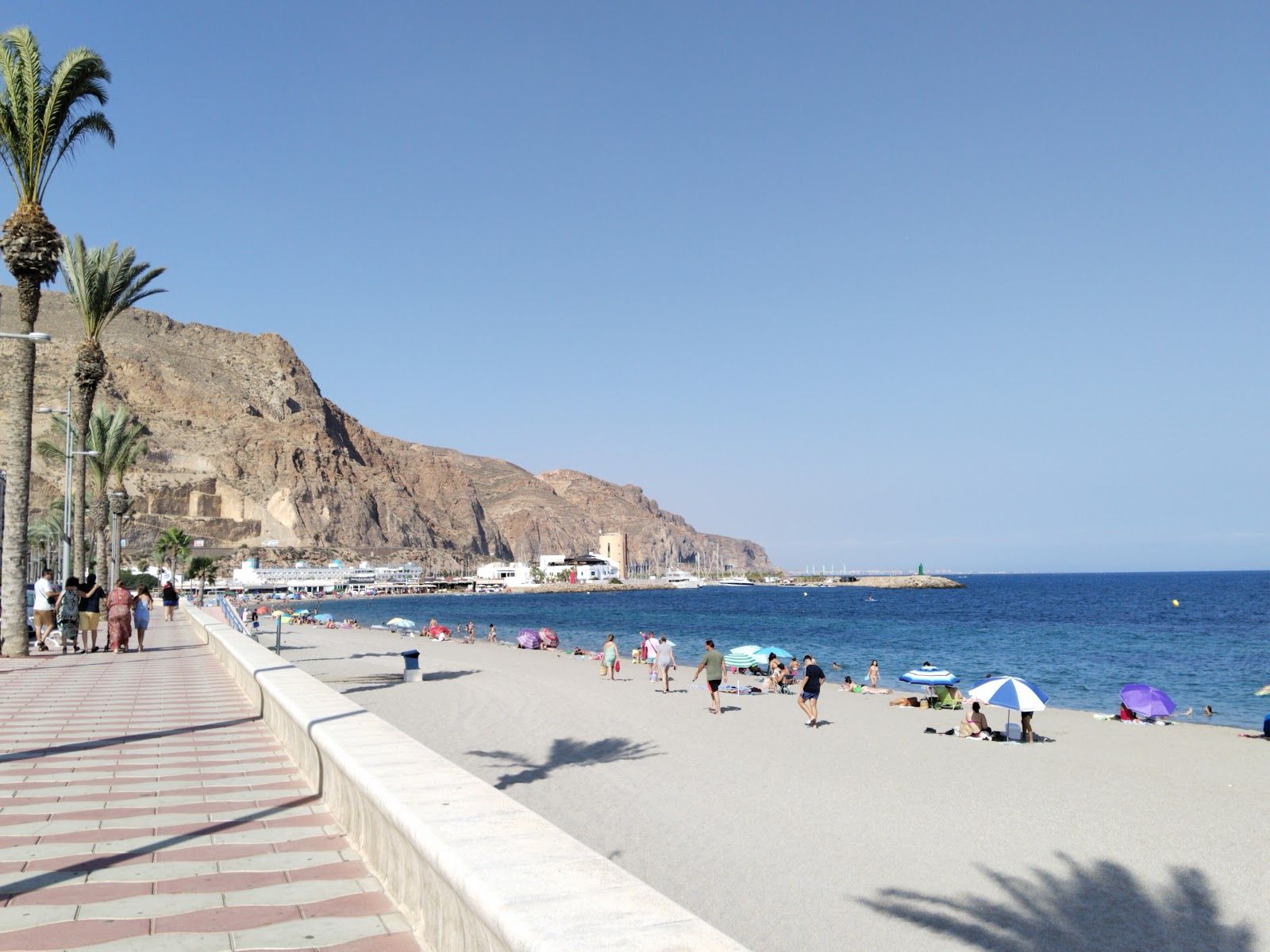 ©nancy apcho paredes