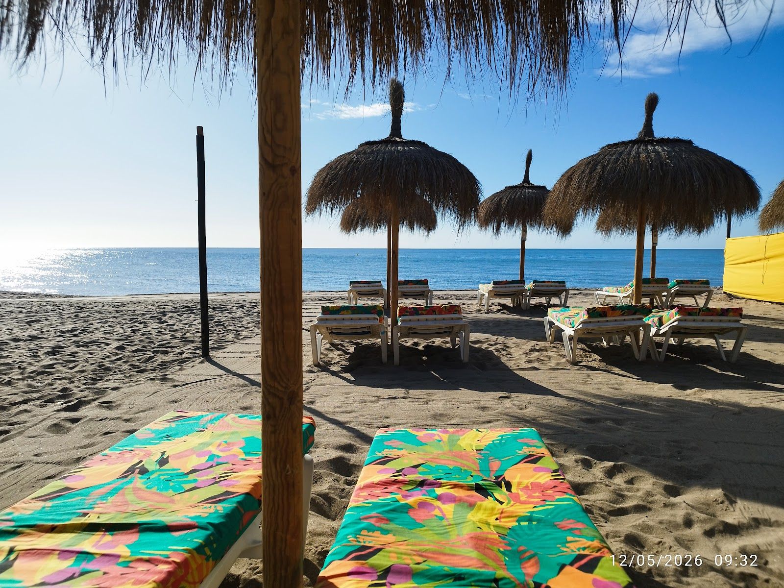 PUPYBEACH