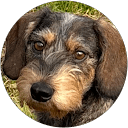 Erika Tholstrup Duelund