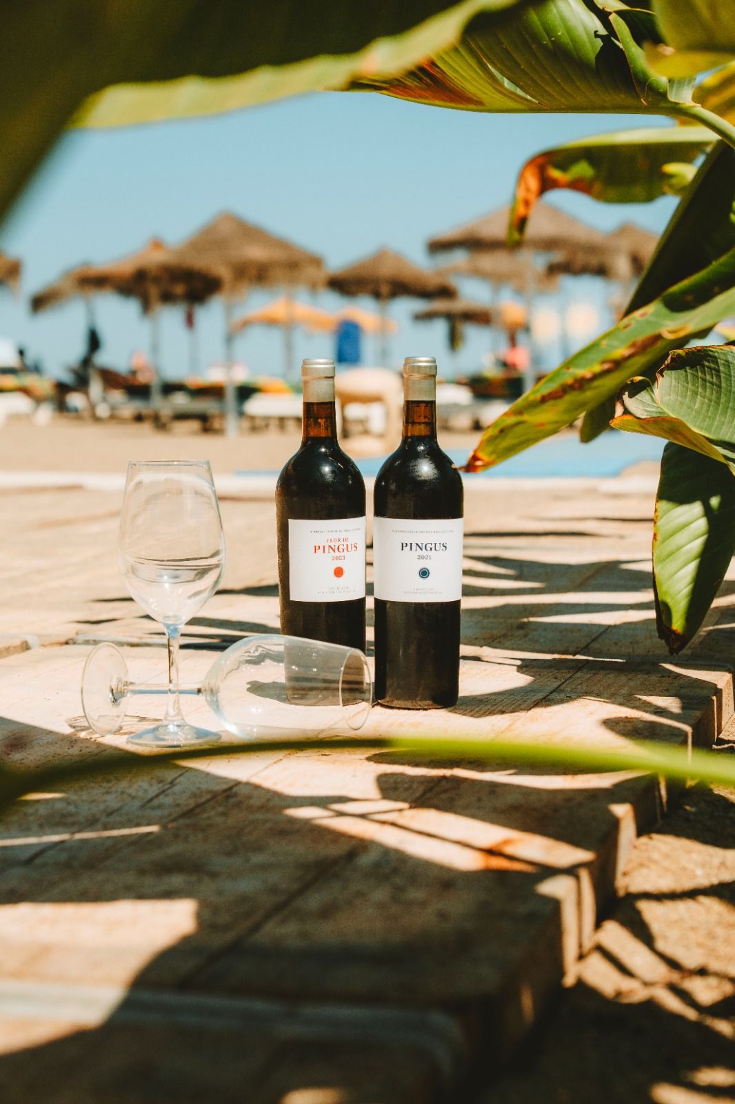 ©Zafiro Beach Club