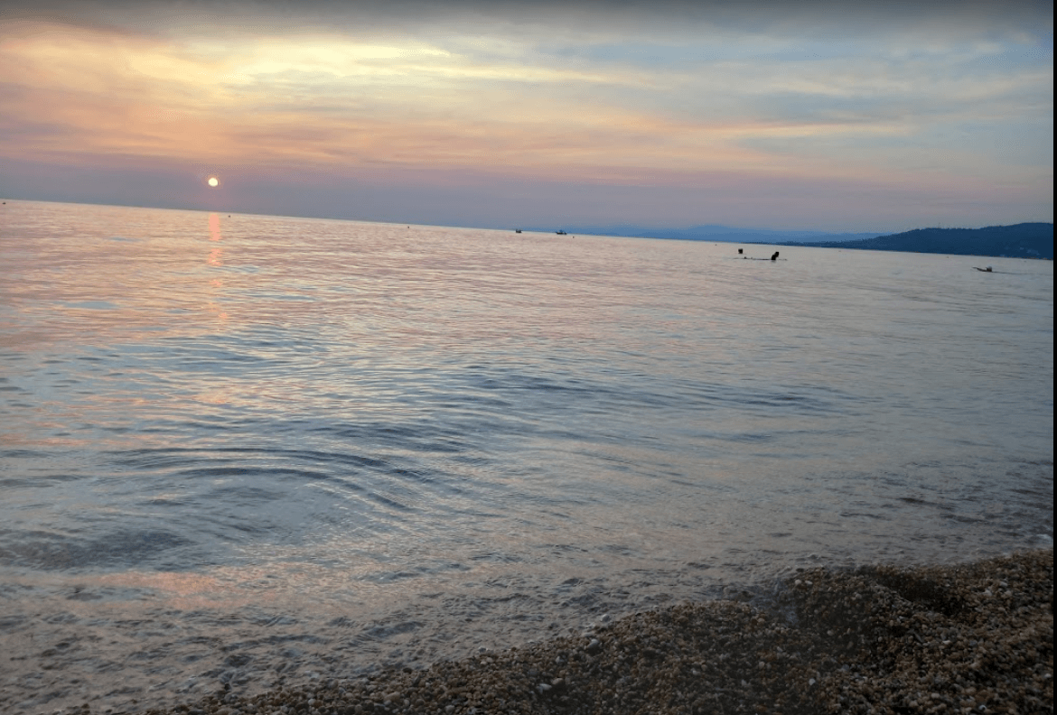 © Daniela Caldaruse Petr