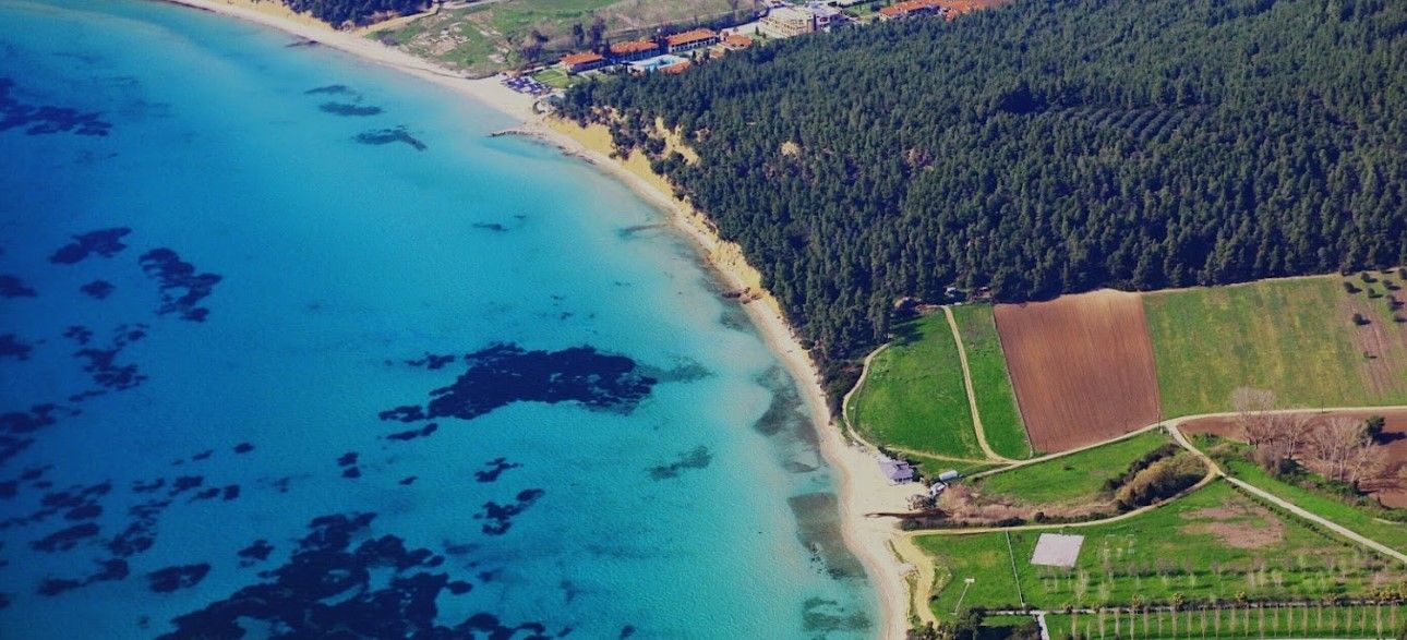 bird eye simantra beach